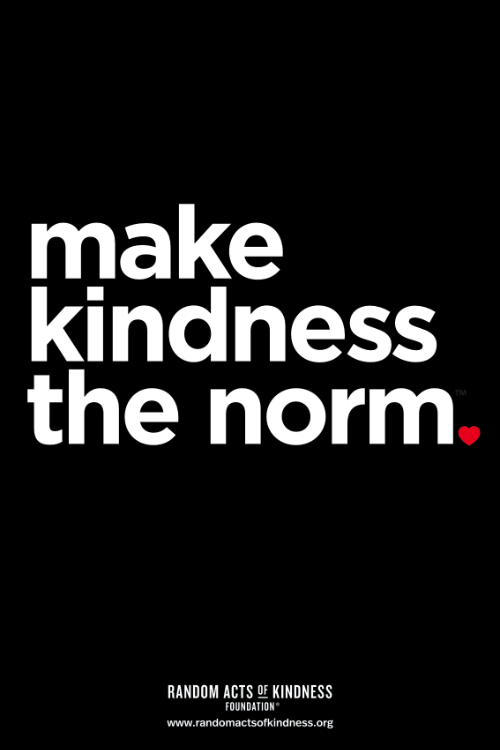 Make kindness the norm poster