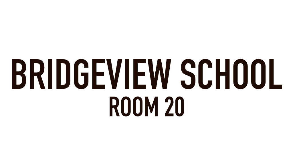 Bridgeview School, Room 20, Bridgeview, IL