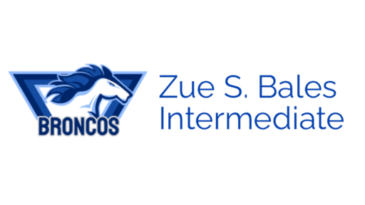 Bales Intermediate, Friendswood, TX