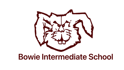 Bowie Intermediate, Bowie, TX