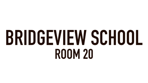 Bridgeview School, Room 20, Bridgeview, IL