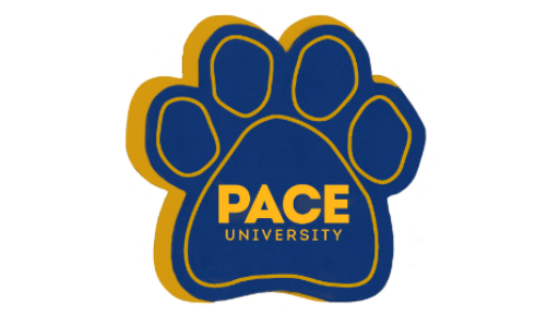 Pace University, New York, NY