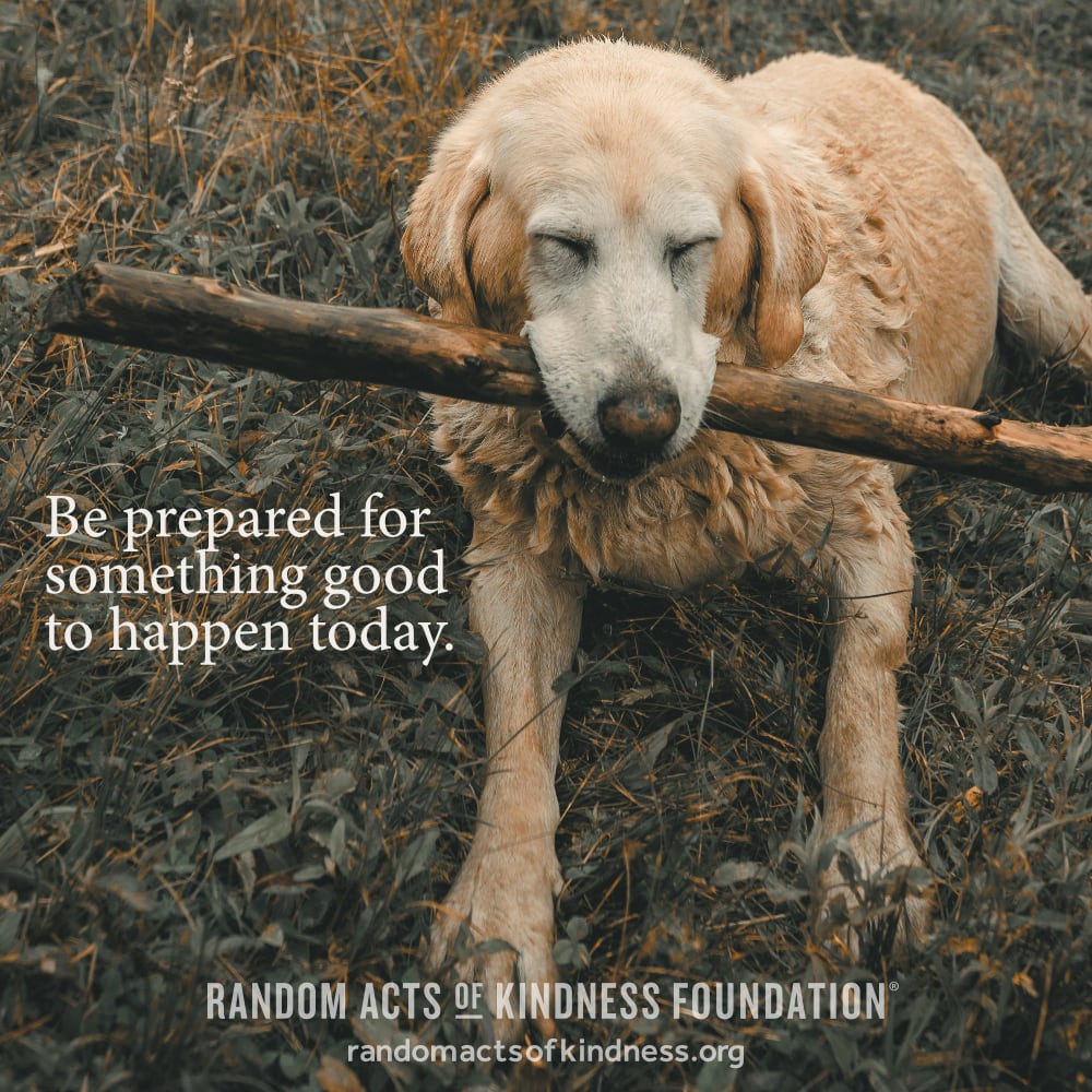 Be prepared for something good to happen today. —Brooke