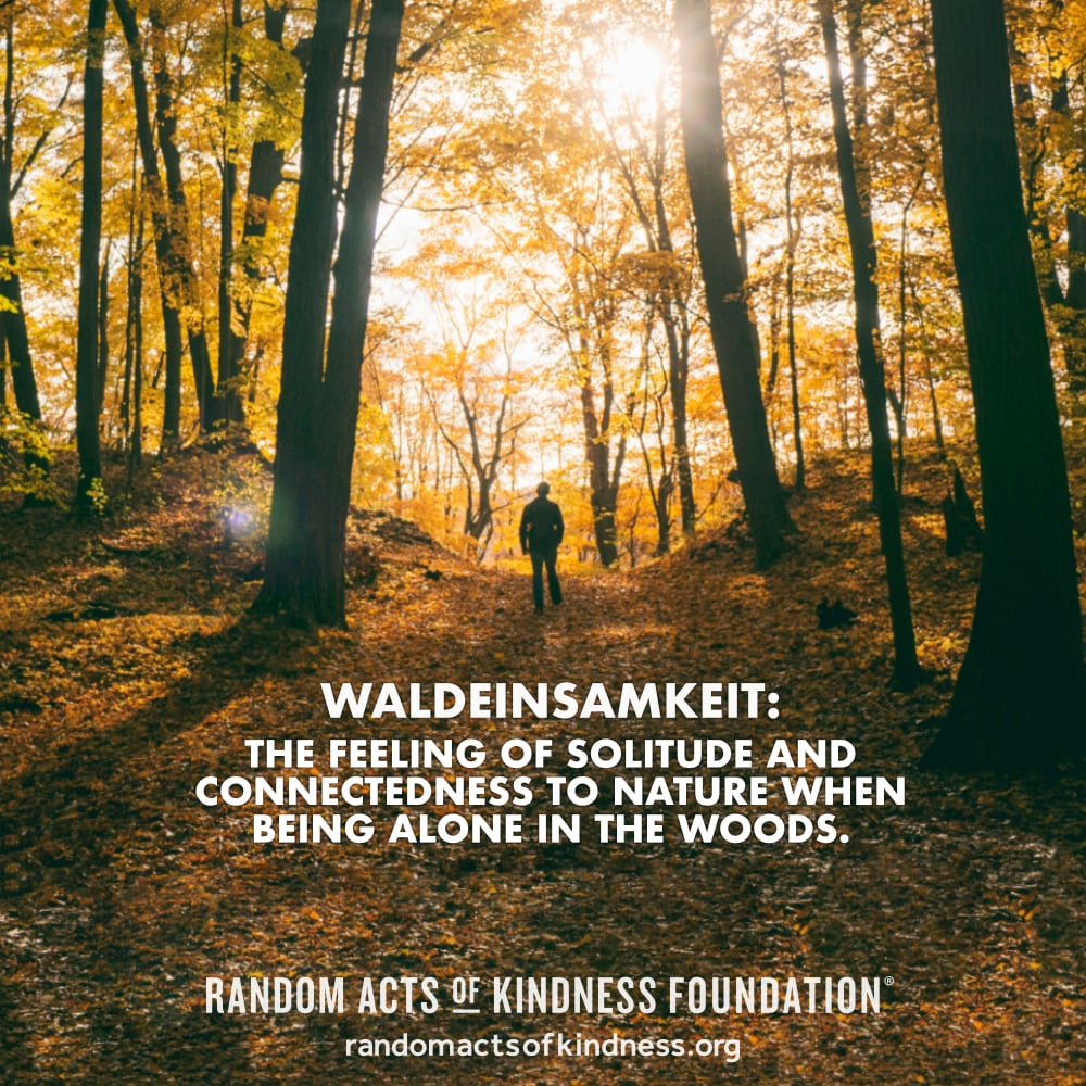 Waldeinsamkeit: The feeling of solitude and connectedness to nature when being alone in the woods. —Brooke