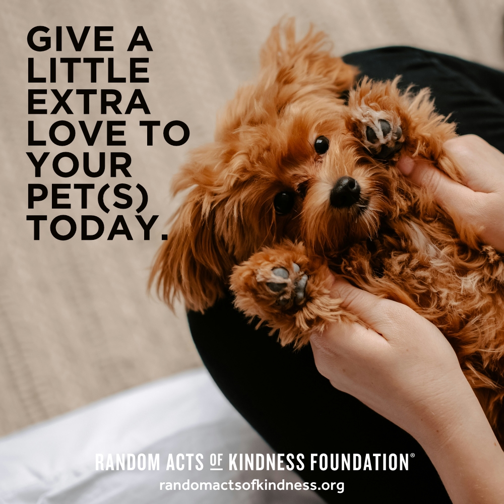 Give a little extra love to your pet(s) today. —Brooke