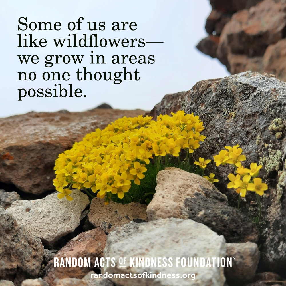 Some of us are like wildflowers—we grow in areas no one thought possible. —Brooke