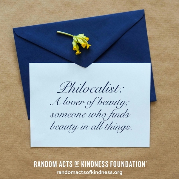 Philocalist: A lover of beauty; someone who finds beauty in all things.