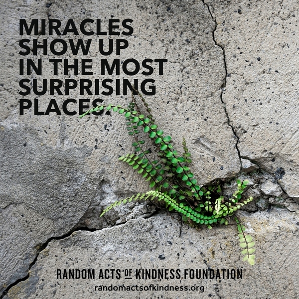 Miracles show up in the most surprising places. —Brooke