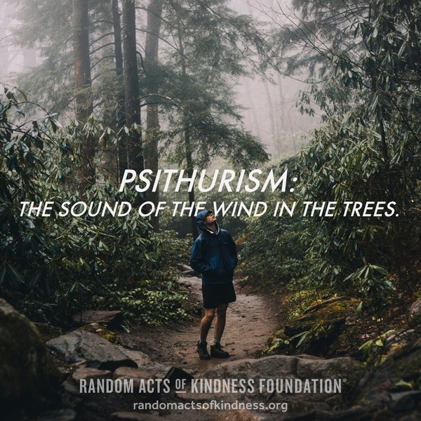 Psithurism: The sound of the wind in the trees.
