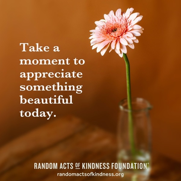 Take a moment to appreciate something beautiful today. —Brooke