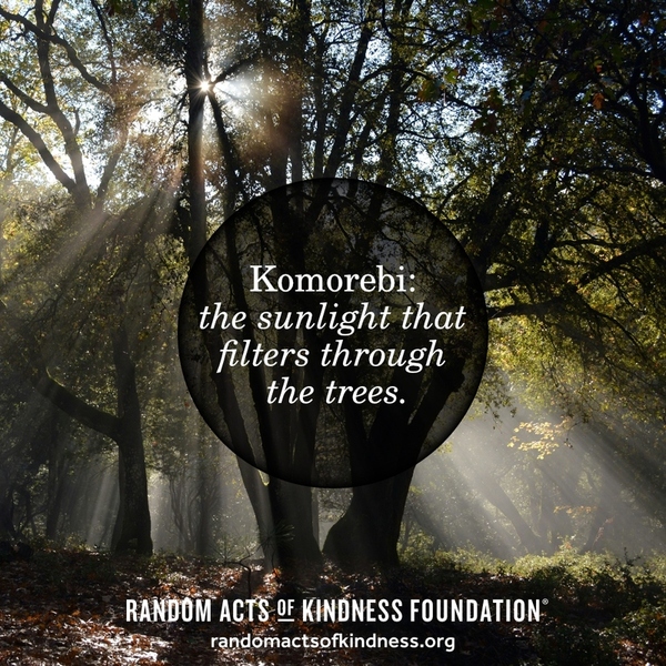 Komorebi: the sunlight that filters through the trees.