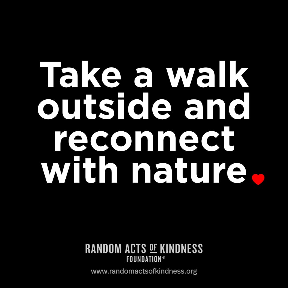 Take a walk outside and reconnect with nature.